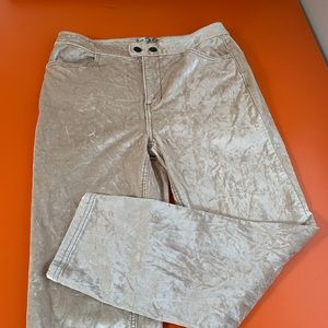 We the Free fab Velvet Pants